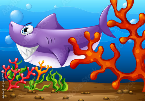 A big fish under the sea
