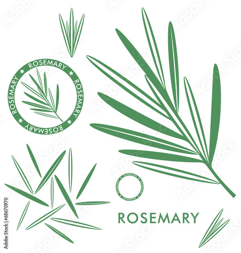 Rosemary