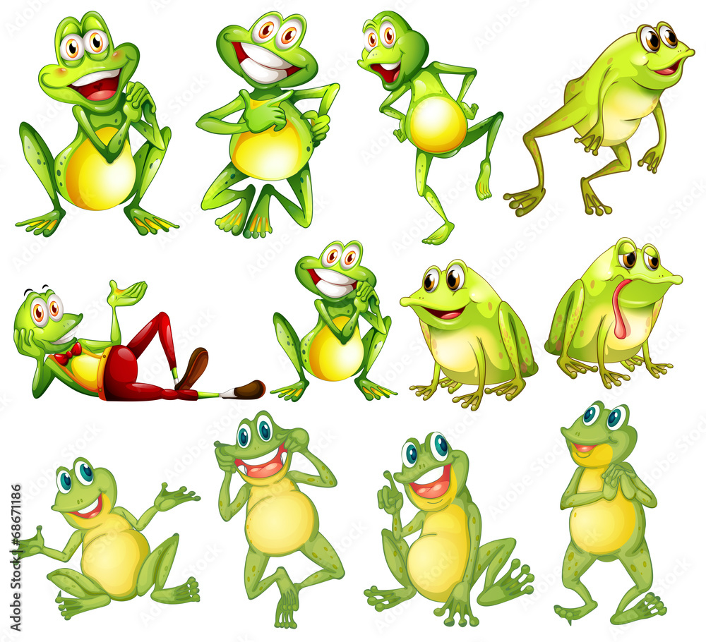 Fototapeta premium Set of frogs