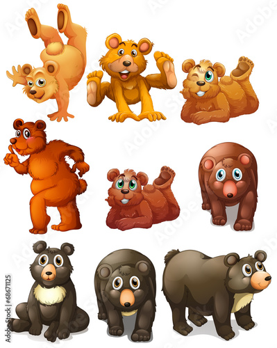 Cute bear movements