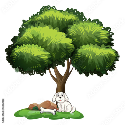 A cute dog under the tree