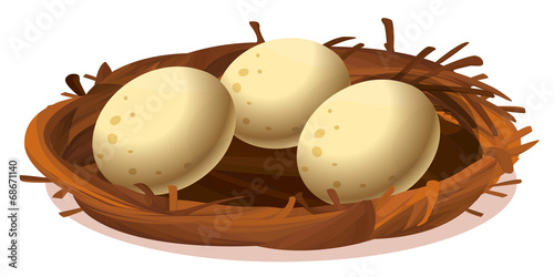 A nest with three eggs