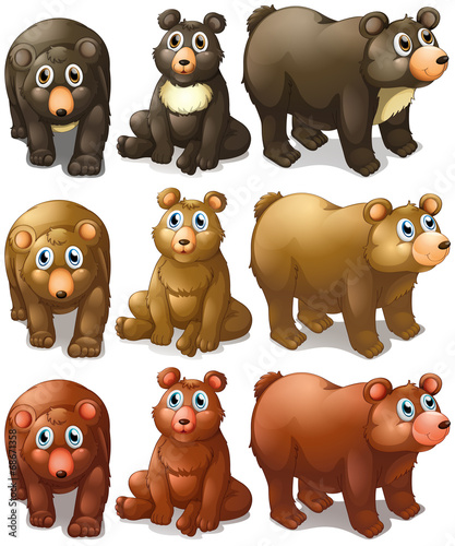 Collection of bears