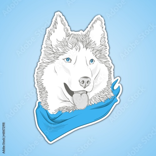 head dog breed Siberian Husky