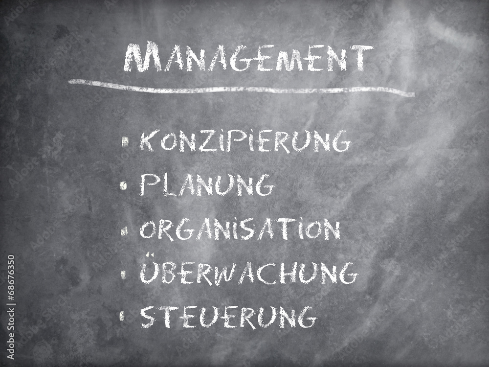 Fototapeta premium Management
