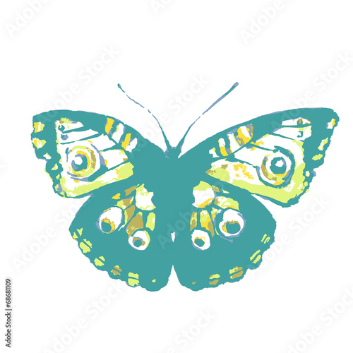 butterflies design