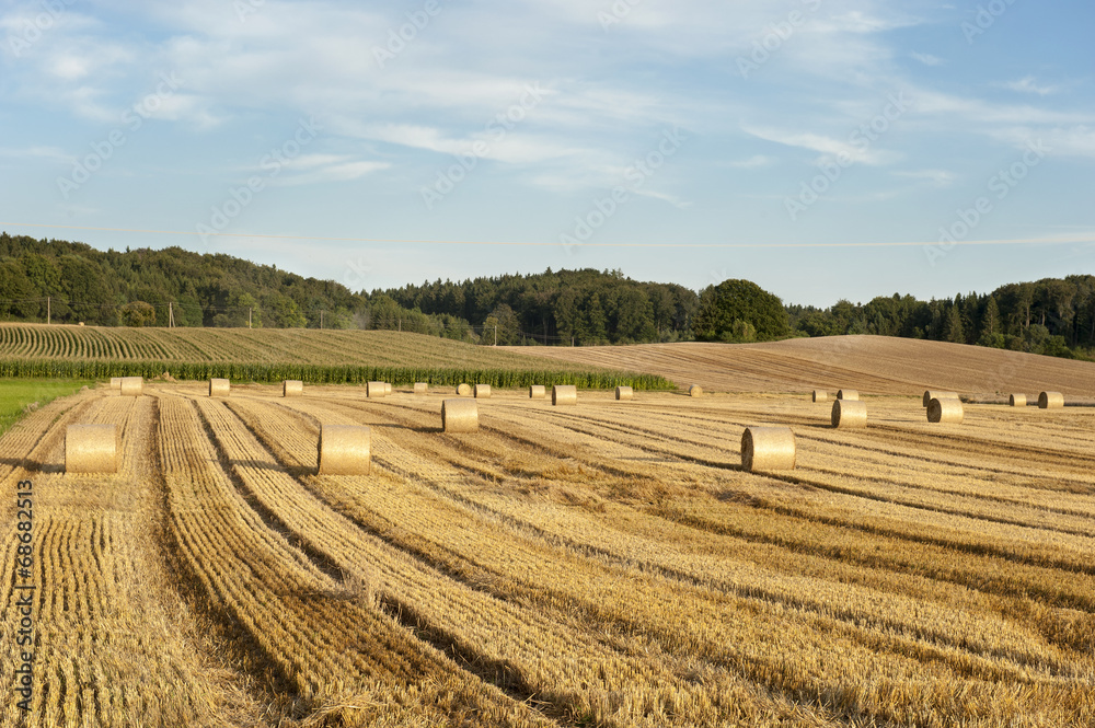 Ballen Heu in einem Feld, Deutschland