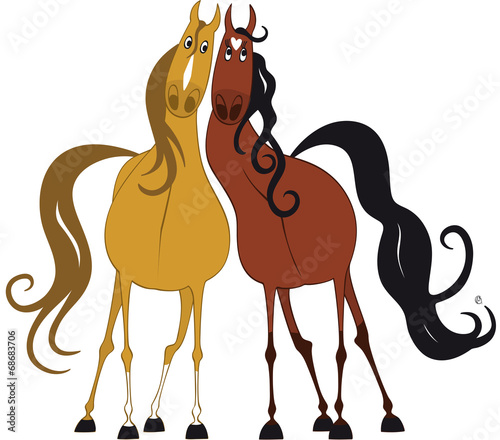 chevaux amoureux