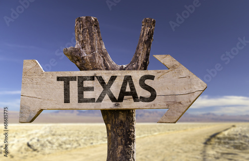 Texas wooden sign isolated on desert background photo