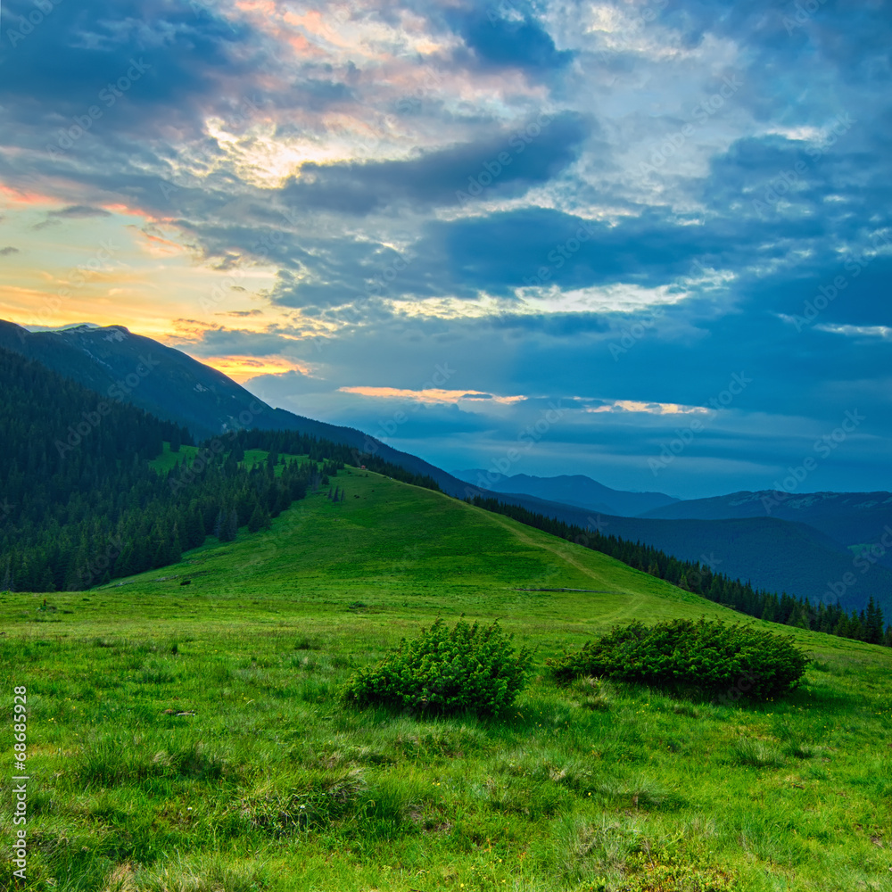 Carpathian mountain landscape