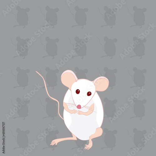 souris blanche fond gris souris mains jointes