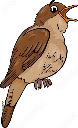 Tableau sur toile nightingale bird cartoon illustration