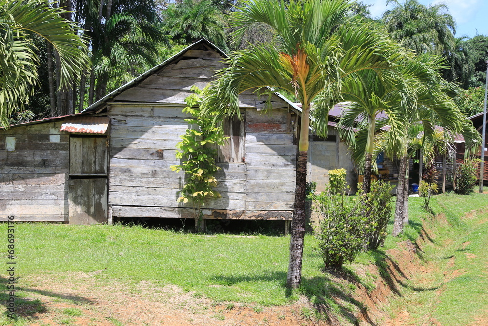 Guyane - Saül - Juillet 2014 Guyane - Saül - Juillet 2014