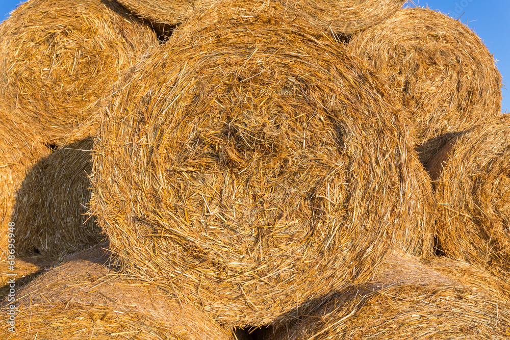 Piled hay bales on a field against blue sky Piled hay bales on a field against blue sky