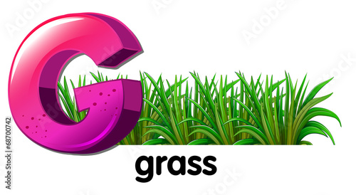 A letter G for grass