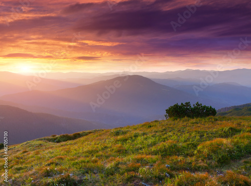 Fototapeta Naklejka Na Ścianę i Meble -  Beautiful summer landscape in the mountains.