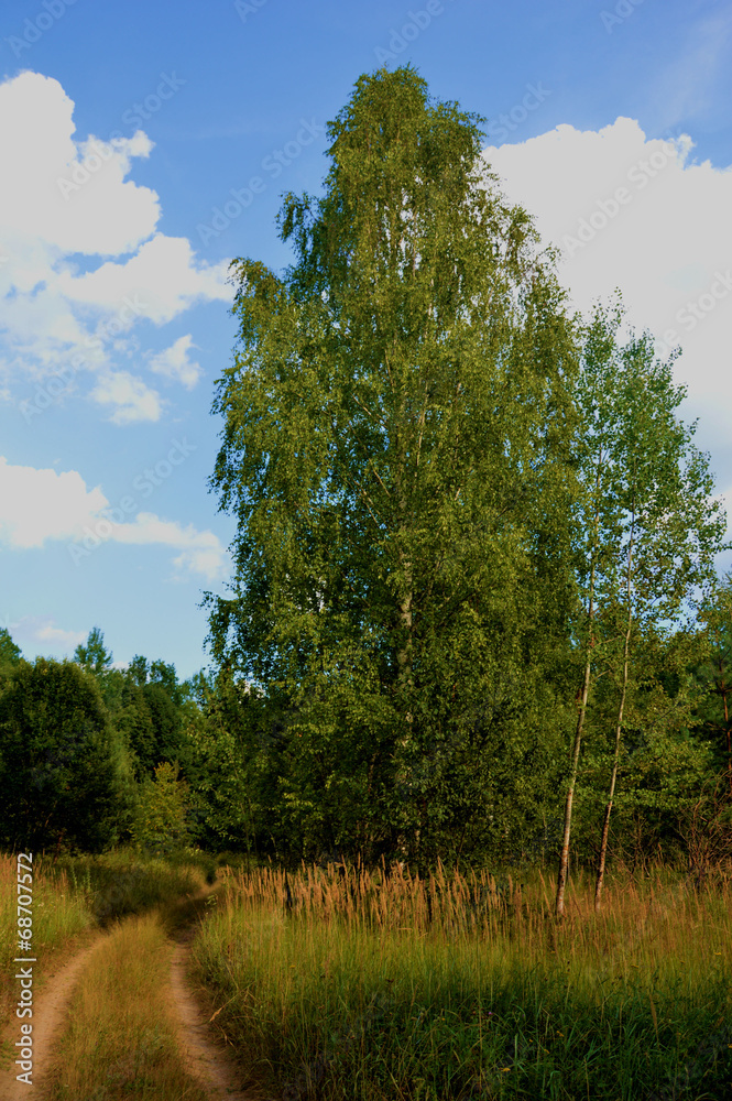 Obraz premium Август