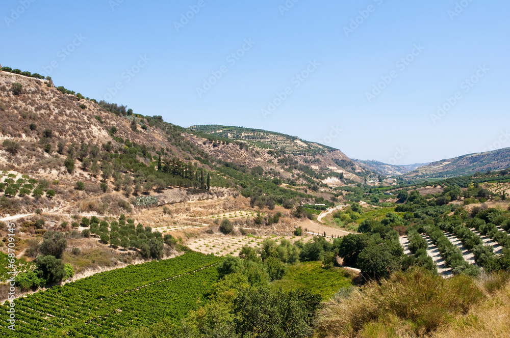 Cretan rural landscape with olive trees. Crete island, Greece.