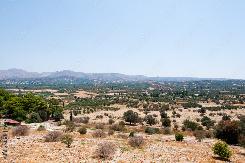 Cretan landscape with olive trees. Greece.