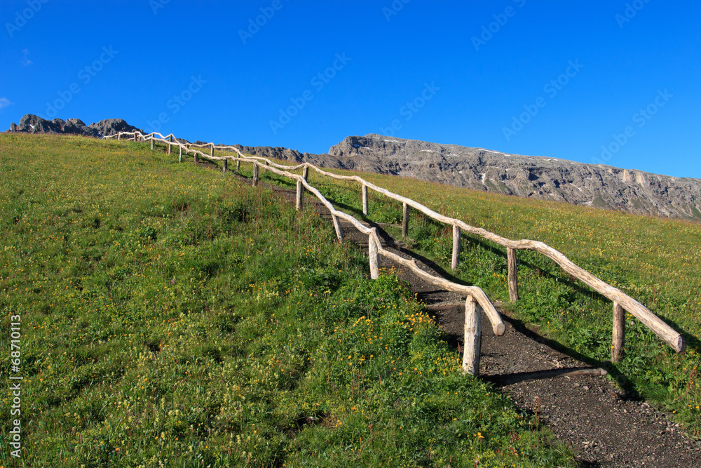 sentiero sull'Alpe di Siusin