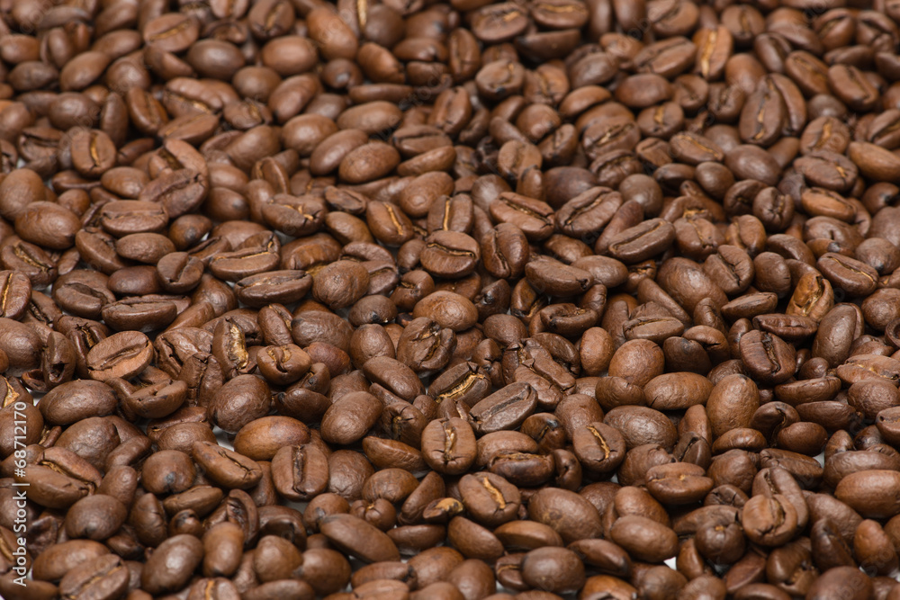 Seed of coffee Seed of coffee