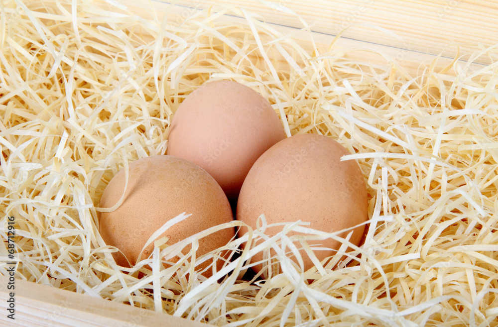 Close-up brown chicken eggs on a bed of straw Close-up brown chicken eggs on a bed of straw
