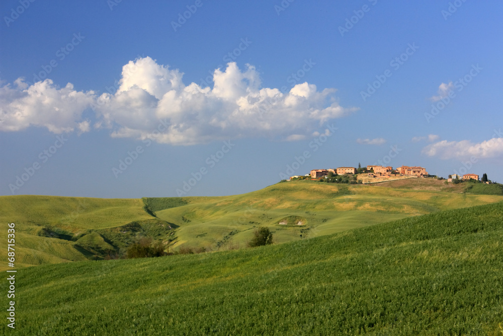 Fototapeta premium campagna toscana 3
