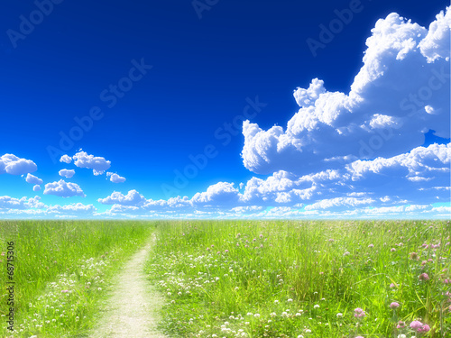 Fototapeta 青空と草原