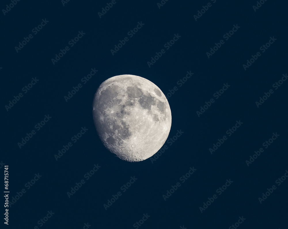 Fototapeta premium moon