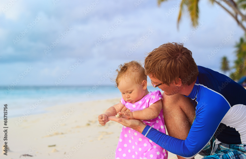 father and baby touching seashell on beach father and baby touching seashell on beach