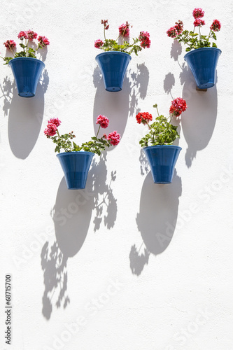 Fototapeta Naklejka Na Ścianę i Meble -  Macetas colgadas en pared encalada de blanco.