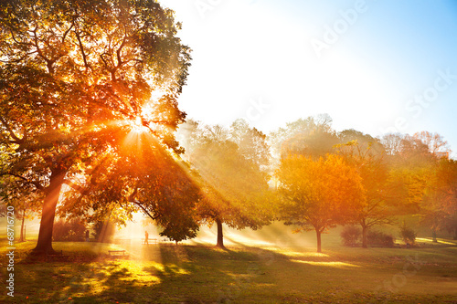 Sunset in autumn park.