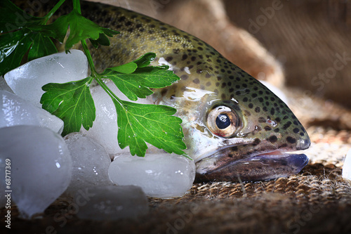 trout fresh greens ice restaurant