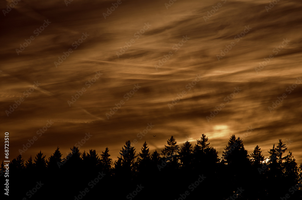 Fototapeta premium SONNENUNTERGANG