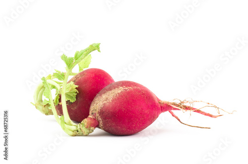 Fresh radish
