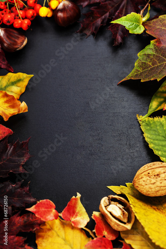 Fotografie Autumn composition