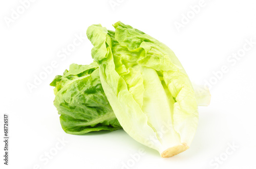 Fresh lettuce (baby cos)