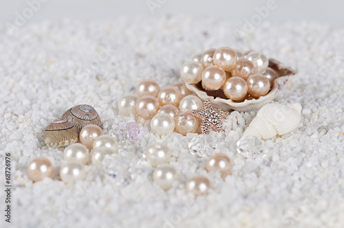 recog shell on white sand