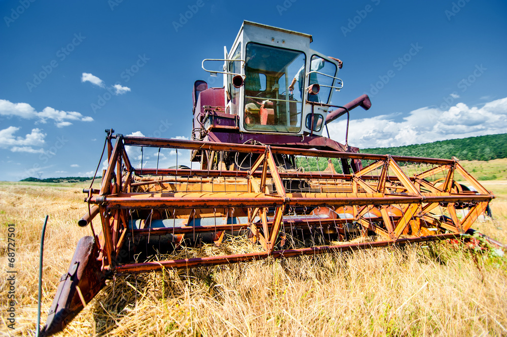 Fototapeta premium Crop harvesting at th field with professional harverster