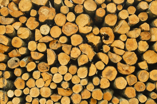 a pile of cut wood stump  brunches texture
