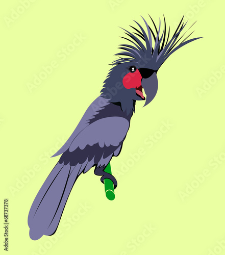 Cartoon animal ,Cockatoo , flat coloring style vector