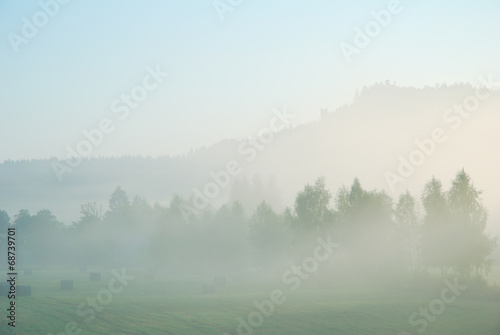 Foggy morning rural landscape with field, trees and distant hill © grondetphoto