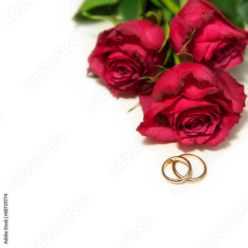 golden wedding rings and red roses..