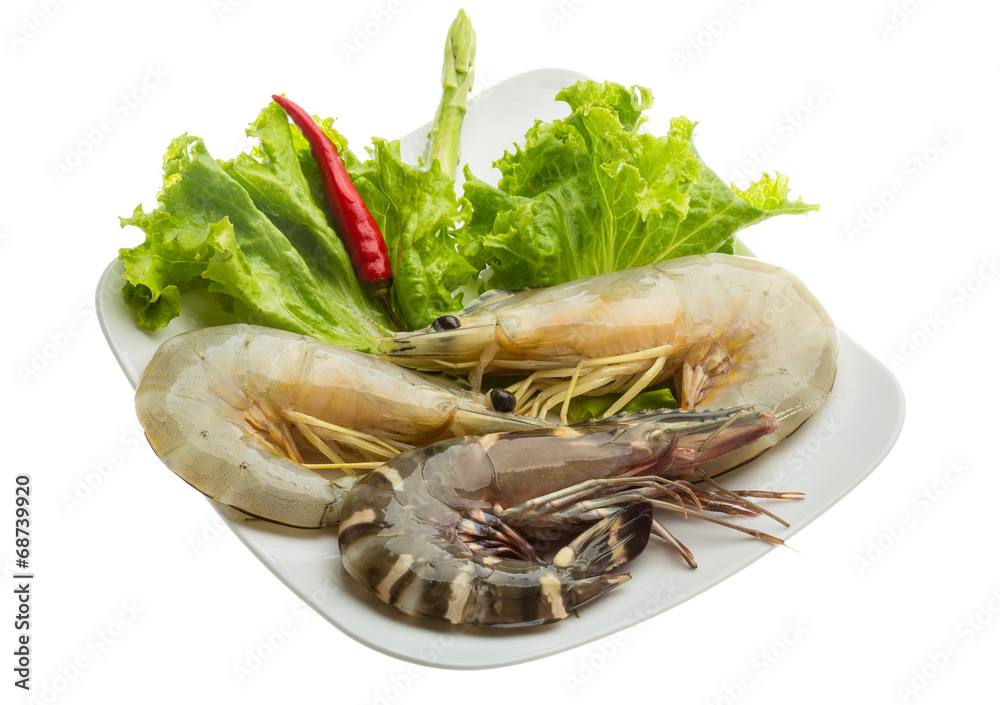 King and waterleg shrimps