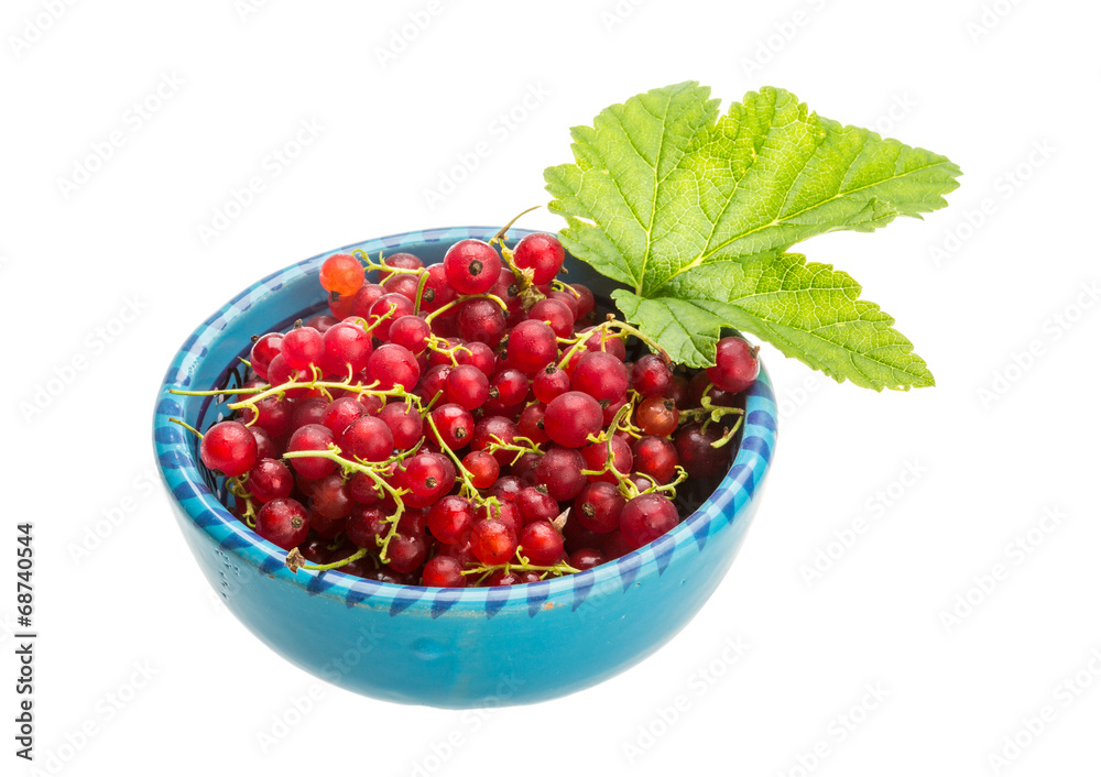 Red currant Red currant