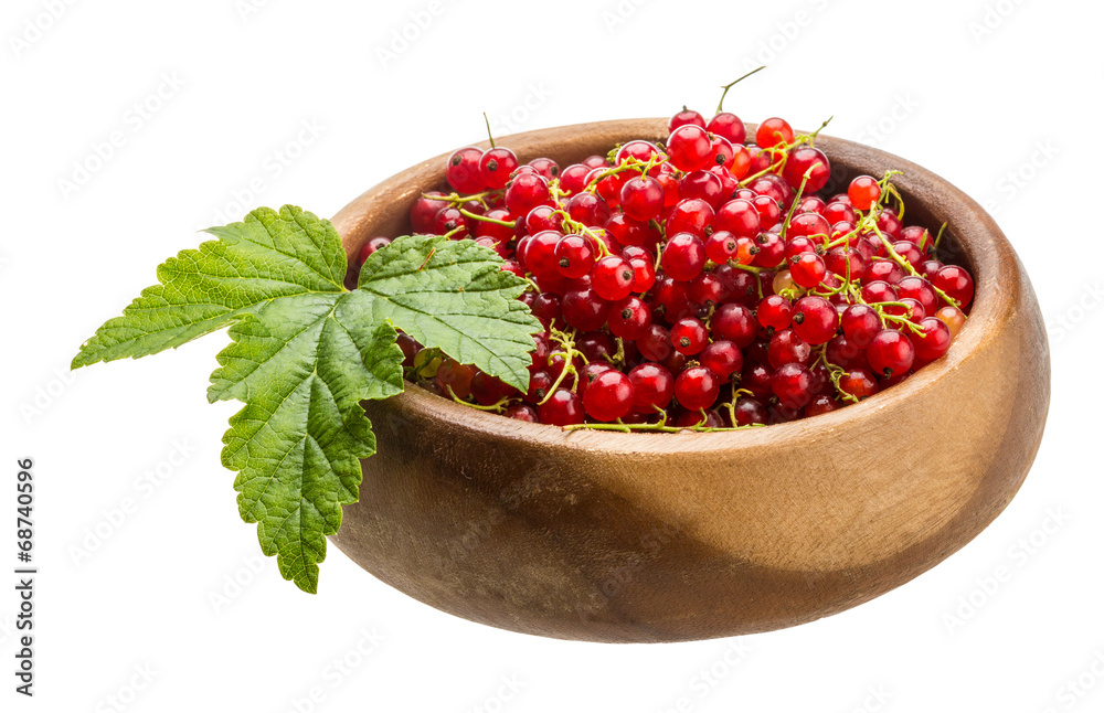 Red currant Red currant