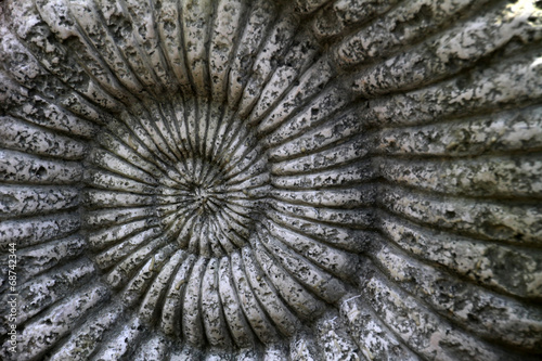 Obraz na płótnie Steinschnecke w salonie