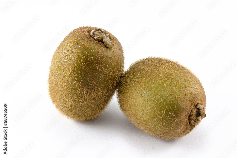 kiwi isolated
