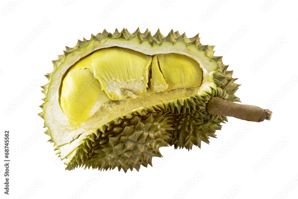Fototapeta premium durian isolated