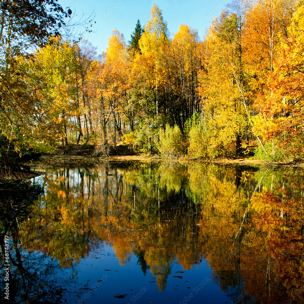 Autumnal nature, scenery Autumnal nature, scenery
